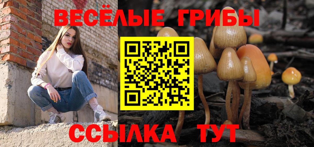 Луга  Галлюциногенные грибы GOLDEN TEACHER  Вход с VPN 