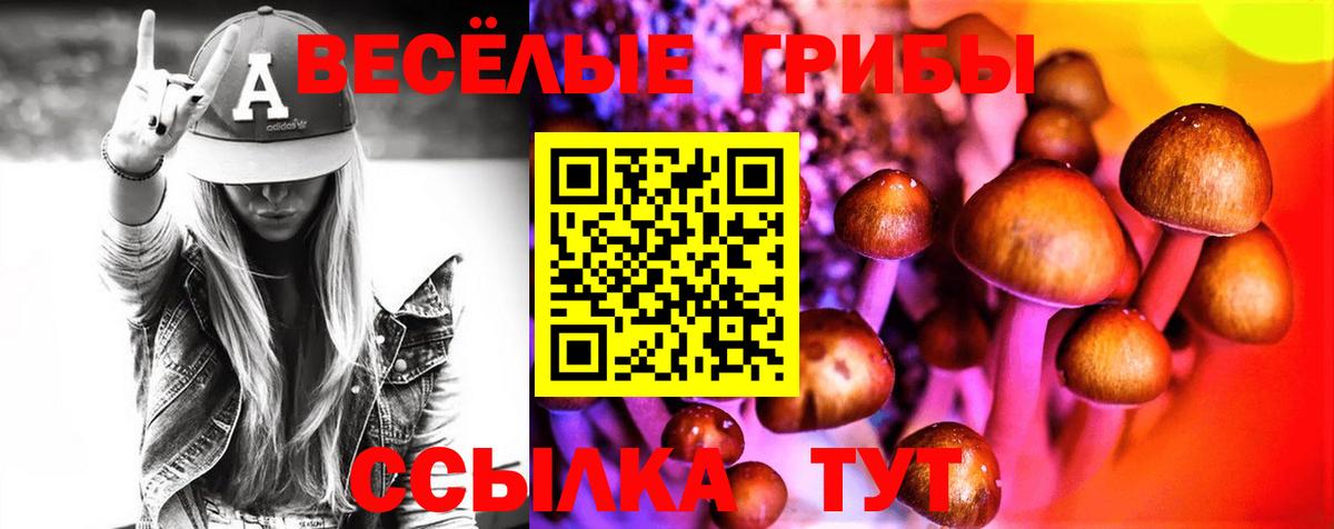 Галлюциногенные грибы Cubensis Луга