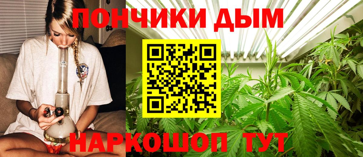 Каннабис Amnesia Луга